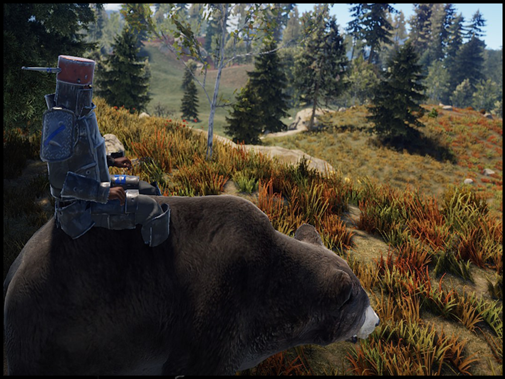 Player Riding Bear