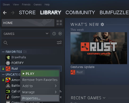 Rust no Steam